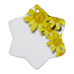 Flowers Spring Yellow Spring Onion Snowflake Ornament (two Sides) by Nexatart