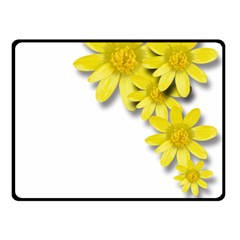 Flowers Spring Yellow Spring Onion Double Sided Fleece Blanket (small)  by Nexatart