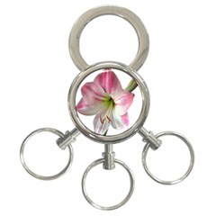 Flower Blossom Bloom Amaryllis 3-ring Key Chains by Nexatart