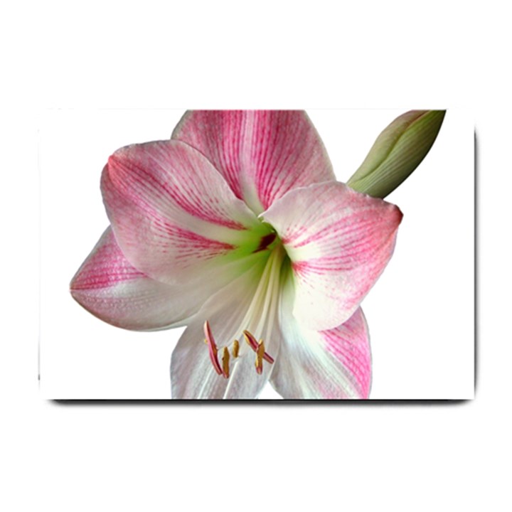 Flower Blossom Bloom Amaryllis Small Doormat 