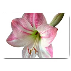 Flower Blossom Bloom Amaryllis Large Doormat  by Nexatart