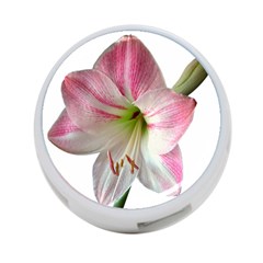 Flower Blossom Bloom Amaryllis 4-port Usb Hub (two Sides)  by Nexatart