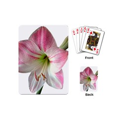 Flower Blossom Bloom Amaryllis Playing Cards (mini)  by Nexatart