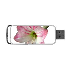 Flower Blossom Bloom Amaryllis Portable Usb Flash (one Side)