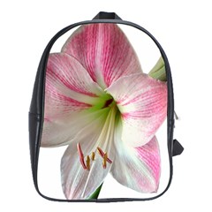 Flower Blossom Bloom Amaryllis School Bags (xl) 