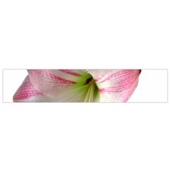 Flower Blossom Bloom Amaryllis Flano Scarf (small)
