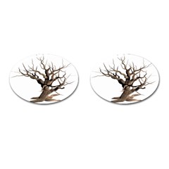 Tree Isolated Dead Plant Weathered Cufflinks (oval) by Nexatart