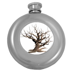 Tree Isolated Dead Plant Weathered Round Hip Flask (5 Oz) by Nexatart