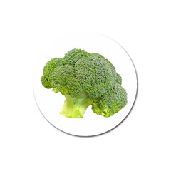 Broccoli Bunch Floret Fresh Food Magnet 3  (round) by Nexatart