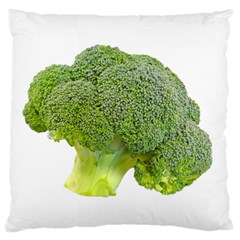 Broccoli Bunch Floret Fresh Food Standard Flano Cushion Case (two Sides) by Nexatart