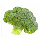 Broccoli Bunch Floret Fresh Food Double Sided Flano Blanket (Small)  50 x40  Blanket Front
