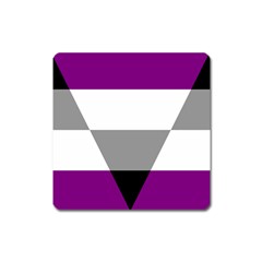 Aegosexual Autochorissexual Flag Square Magnet by Mariart