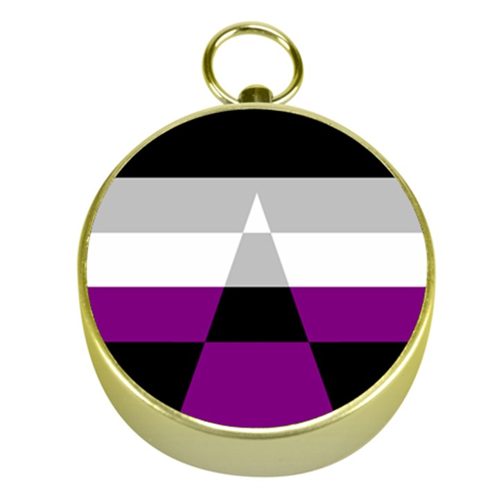 Dissexual Flag Gold Compasses