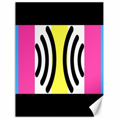 Echogender Flags Dahsfiq Echo Gender Canvas 18  X 24   by Mariart