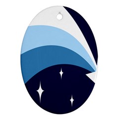 Star Gender Flags Ornament (Oval)