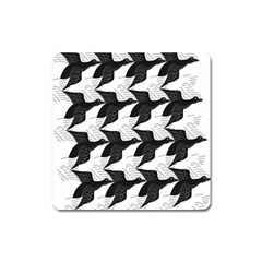 Swan Black Animals Fly Square Magnet
