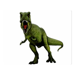 Dinosaurs T-rex Double Sided Flano Blanket (large) 