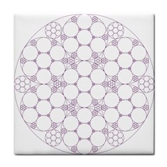 Density Multi Dimensional Gravity Analogy Fractal Circles Face Towel by Nexatart