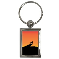 Lion Sunset Wildlife Animals King Key Chains (rectangle)  by Nexatart