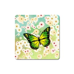 Green Butterfly Square Magnet by linceazul