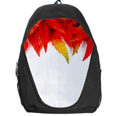 Abstract Autumn Background Bright Backpack Bag by Nexatart
