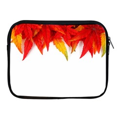 Abstract Autumn Background Bright Apple Ipad 2/3/4 Zipper Cases