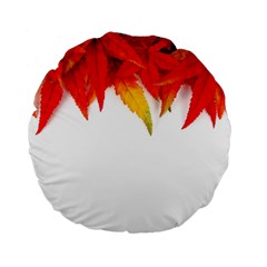 Abstract Autumn Background Bright Standard 15  Premium Flano Round Cushions by Nexatart