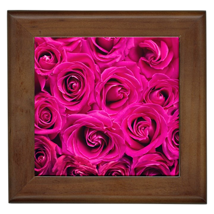 Pink Roses Roses Background Framed Tiles