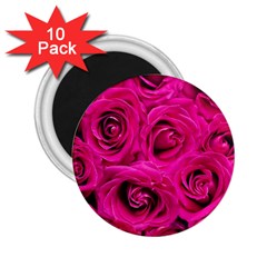 Pink Roses Roses Background 2 25  Magnets (10 Pack) 