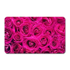 Pink Roses Roses Background Magnet (rectangular) by Nexatart