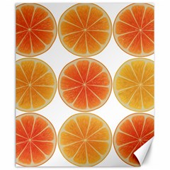 Orange Discs Orange Slices Fruit Canvas 20  X 24   by Nexatart