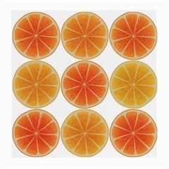 Orange Discs Orange Slices Fruit Medium Glasses Cloth by Nexatart