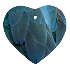 Feather Plumage Blue Parrot Ornament (heart) by Nexatart