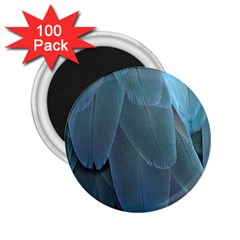 Feather Plumage Blue Parrot 2 25  Magnets (100 Pack)  by Nexatart