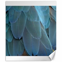 Feather Plumage Blue Parrot Canvas 20  X 24   by Nexatart