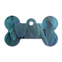 Feather Plumage Blue Parrot Dog Tag Bone (one Side) by Nexatart