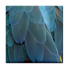 Feather Plumage Blue Parrot Face Towel by Nexatart