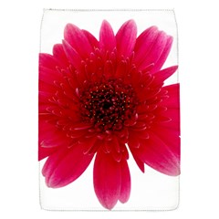 Flower Isolated Transparent Blossom Flap Covers (s)  by Nexatart