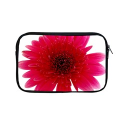 Flower Isolated Transparent Blossom Apple Macbook Pro 13  Zipper Case by Nexatart