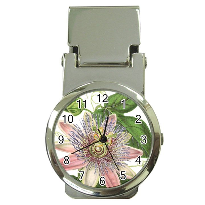 Passion Flower Flower Plant Blossom Money Clip Watches