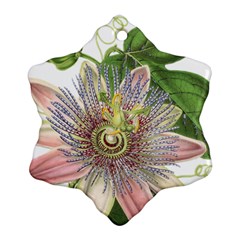 Passion Flower Flower Plant Blossom Snowflake Ornament (two Sides) by Nexatart