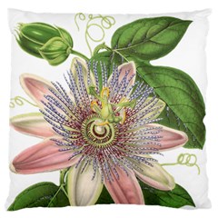 Passion Flower Flower Plant Blossom Standard Flano Cushion Case (one Side) by Nexatart