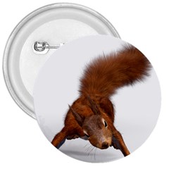 Squirrel Wild Animal Animal World 3  Buttons by Nexatart