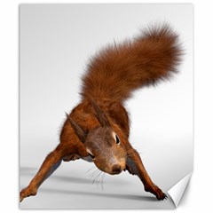 Squirrel Wild Animal Animal World Canvas 20  X 24   by Nexatart