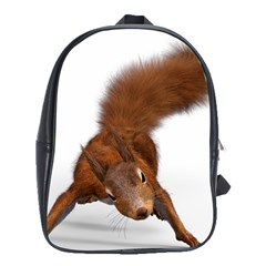 Squirrel Wild Animal Animal World School Bags (xl) 