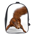 Squirrel Wild Animal Animal World School Bags (XL)  Front