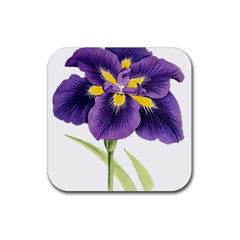 Lily Flower Plant Blossom Bloom Rubber Coaster (square)  by Nexatart