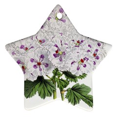 Flower Plant Blossom Bloom Vintage Ornament (star) by Nexatart