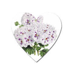 Flower Plant Blossom Bloom Vintage Heart Magnet by Nexatart