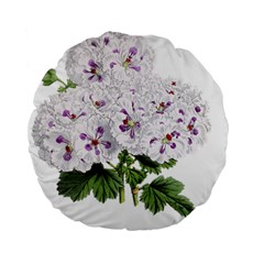 Flower Plant Blossom Bloom Vintage Standard 15  Premium Flano Round Cushions by Nexatart